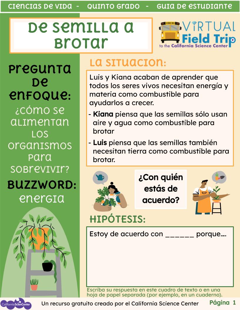 Preview image of student activity guide in Spanish.