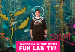 Educator Monica stands near the kelp forest exhibit wearing an animated dive helmet. She has an animated flower to her left and animated kelp to her right.
