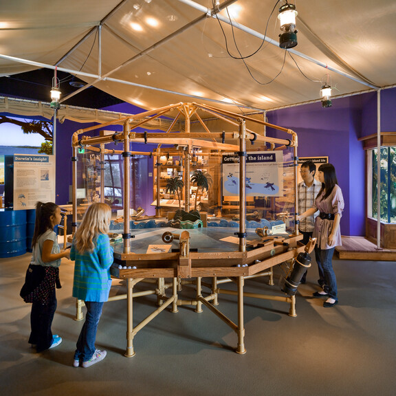 Families interact with exhibits in Ecosystems' Island Zone, featuring a tropical fish tank and island imagery