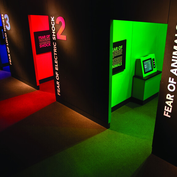 Several small rooms open onto a dark hallway, each lit from inside with a bright color.