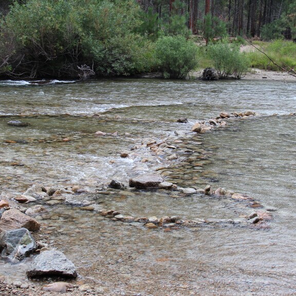 A fast-flowing river with a rocky bottom, and green bushes along the shore