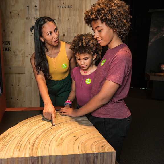 Climate Change and Fall of Angkor Interactive in Angkor: The Lost Empire of Cambodia Exhibition