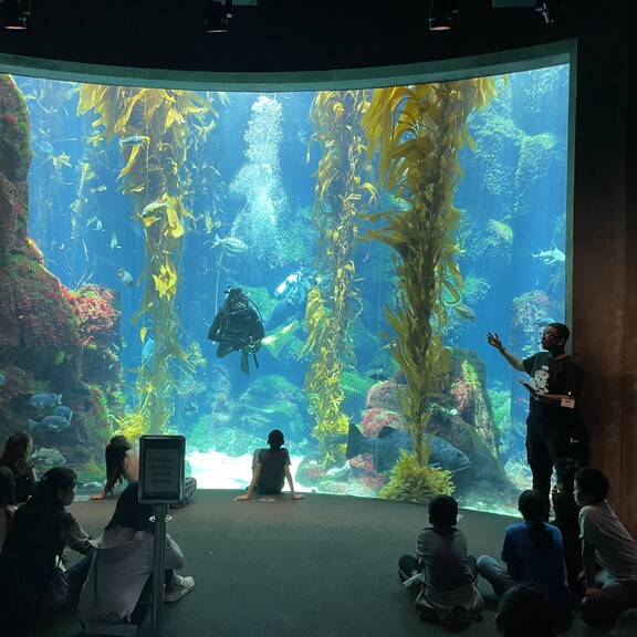 Educator in front of Kelp Forest presenting to audience of children