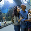 Family admiring fish in the Kelp Tank tunnel