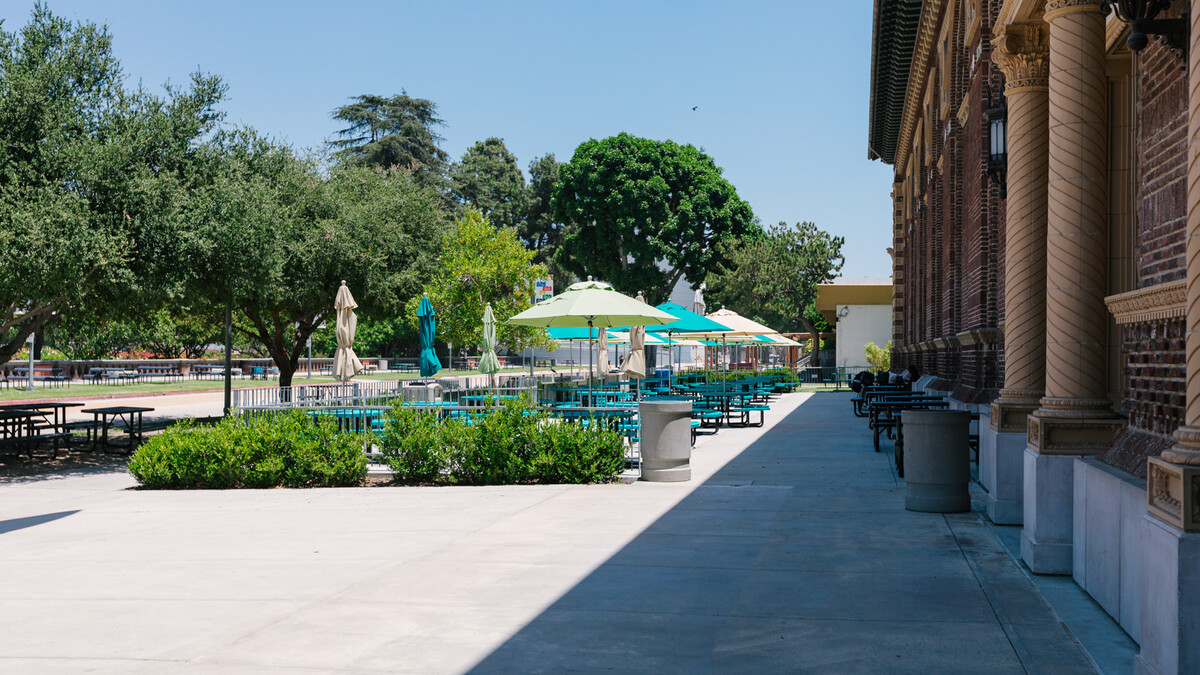 North patios featuring teal picnic benches with umbrellas in pastel yellow and greens, surrounded by lush planters and a tree-lined sidewalk