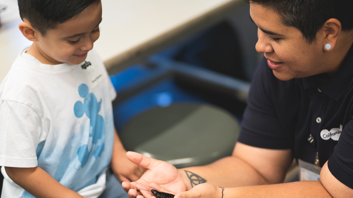 A Science Center educator holds a Madagascar hissing cockroach for a young boy to examine