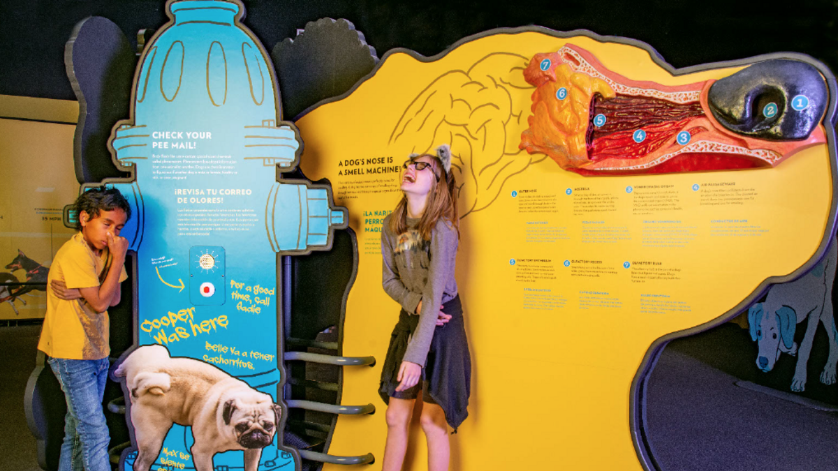 A large graphic of a dog head showing the inside structure of its nose and a huge fire hydrant graphic, with two kids having fun.