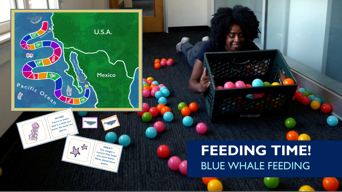 Feeding Game activity
