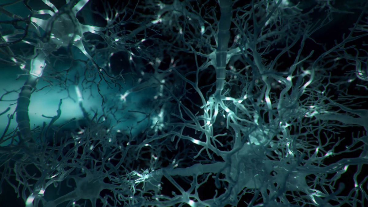 A CGI rendering of neurons in the human brain.