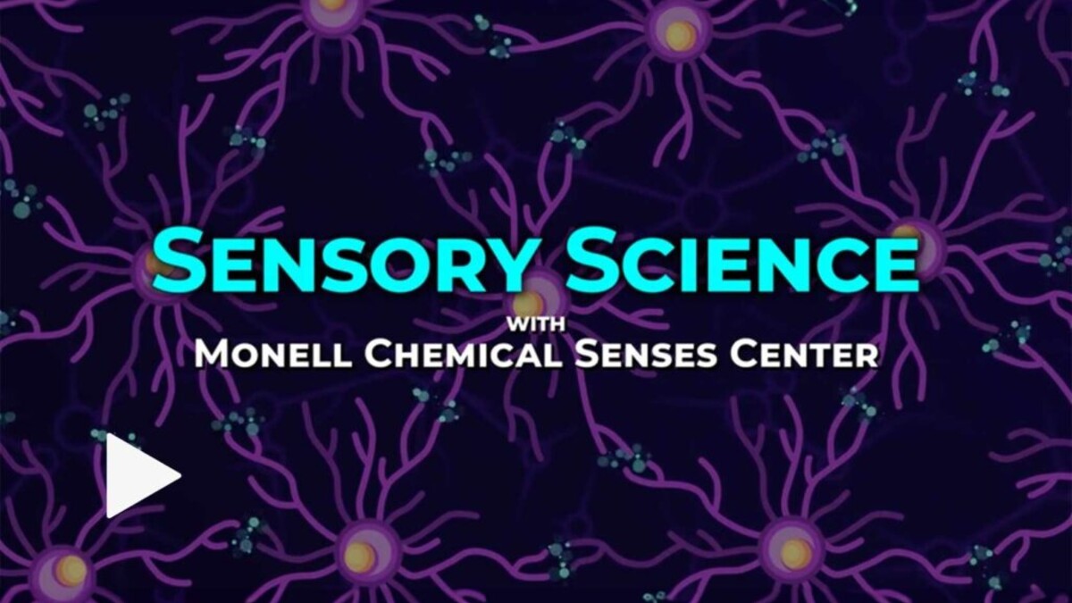 Sensory Science video series cover art with CGI brain neuron background.