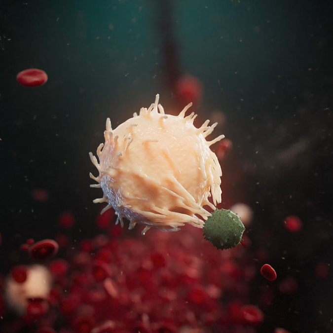 CGI rendering of immune system attacking cancer cells.